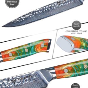 SANMUZUO 9 Inch Carving Knife, Slicing Knife - Hammered Damascus Steel & Resin Handle - Yao Series