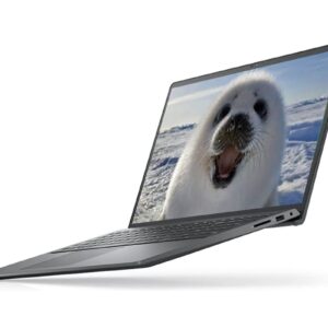 2022 Dell Inspiron 15.6" HD Laptop, Intel Celeron Processor N4020, 32GB RAM, 1TB PCIe SSD, Intel UHD Graphics 600, HD Audio, HD Webcam, Windows 11 Home