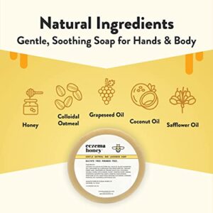 ECZEMA HONEY Gentle Oatmeal and Lavender Soap - Natural Eczema Body Wash - Daily Gentle Soap for Dry, Itchy, Sensitive, & Irritable Skin (3.3 Oz)