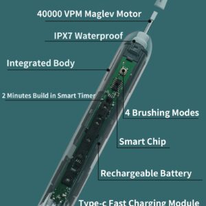 CRKIOB Electric Toothbrush for Adults Ultrasonic Rechargeable Power Toothbrushes One Charge for 180 Days Use with 2 Brush Heads and Holder Electric Toothbrushes (Green)