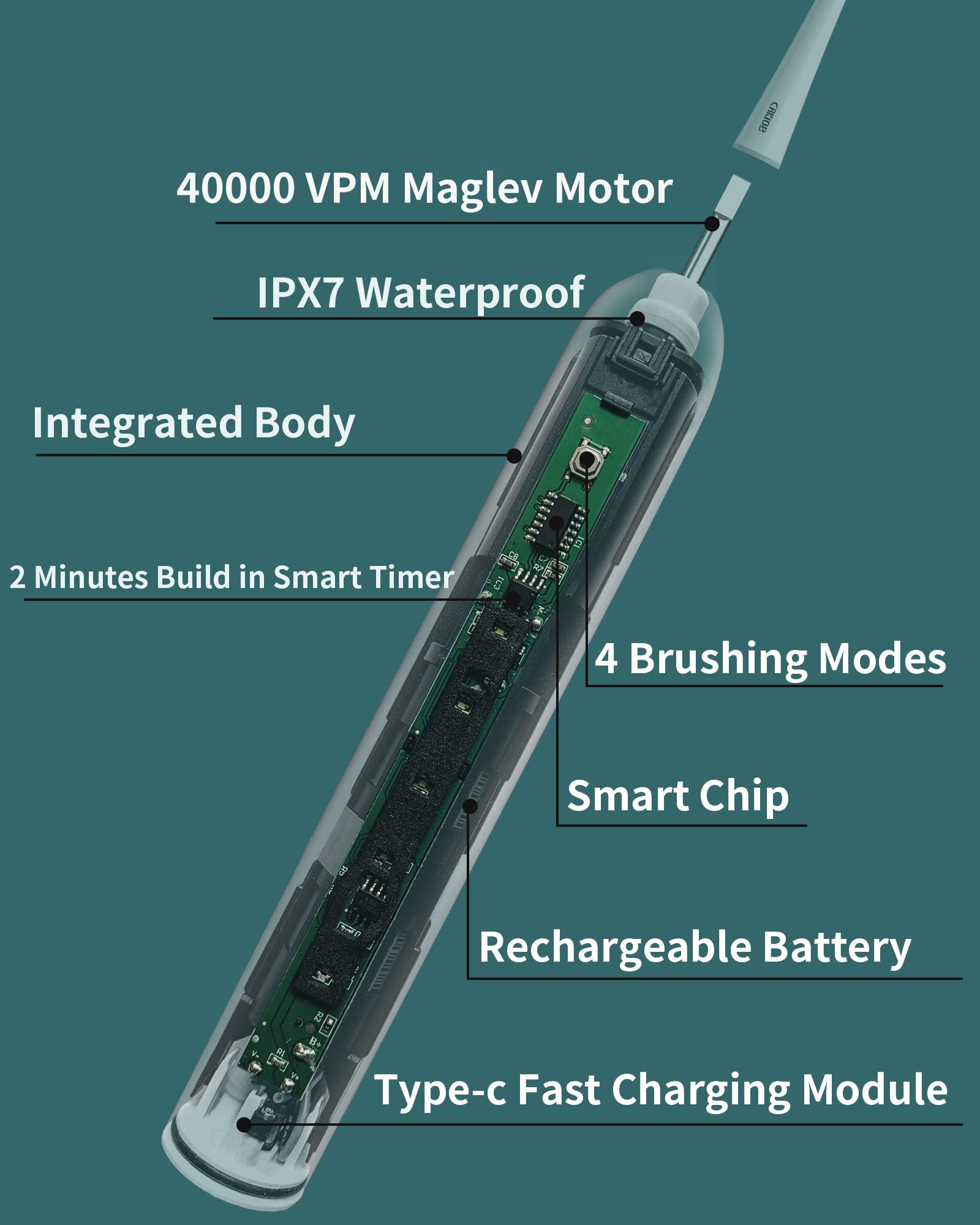 CRKIOB Electric Toothbrush for Adults Ultrasonic Rechargeable Power Toothbrushes One Charge for 180 Days Use with 2 Brush Heads and Holder Electric Toothbrushes (Green)