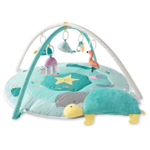 Simple Joys by Carter's Play Gym, by The Sea, One Size