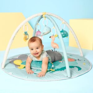 Simple Joys by Carter's Play Gym, by The Sea, One Size