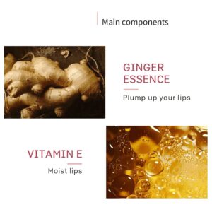 Lip Plumper, Lip Plumping Lip Gloss, Lip Care Serum, Lip Enhancer, Reduce Fine Lines, Increased Elasticity, Lip Enhancer for Fuller (Ginger*Lip Plumper)