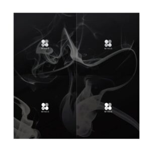 bts - wings (vol.2) cd (n ver.)