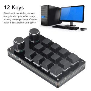 Heayzoki Macro Keyboard, 12 Keys Mechanical Programmable Keypad OSU Gaming Keypad with 2 Knobs Small Gaming Keyboard DIY Programmable with USB Cable, for Games, Music, Media