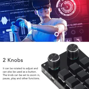 Heayzoki Macro Keyboard, 12 Keys Mechanical Programmable Keypad OSU Gaming Keypad with 2 Knobs Small Gaming Keyboard DIY Programmable with USB Cable, for Games, Music, Media