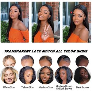 Straight Lace Front Wigs 13x4 HD Transparent Lace Front Wigs Glueless Wigs Human Hair Pre Plucked with Baby Hair 180% Density Lace Frontal Wigs for Black Women Natural Color (20inch)