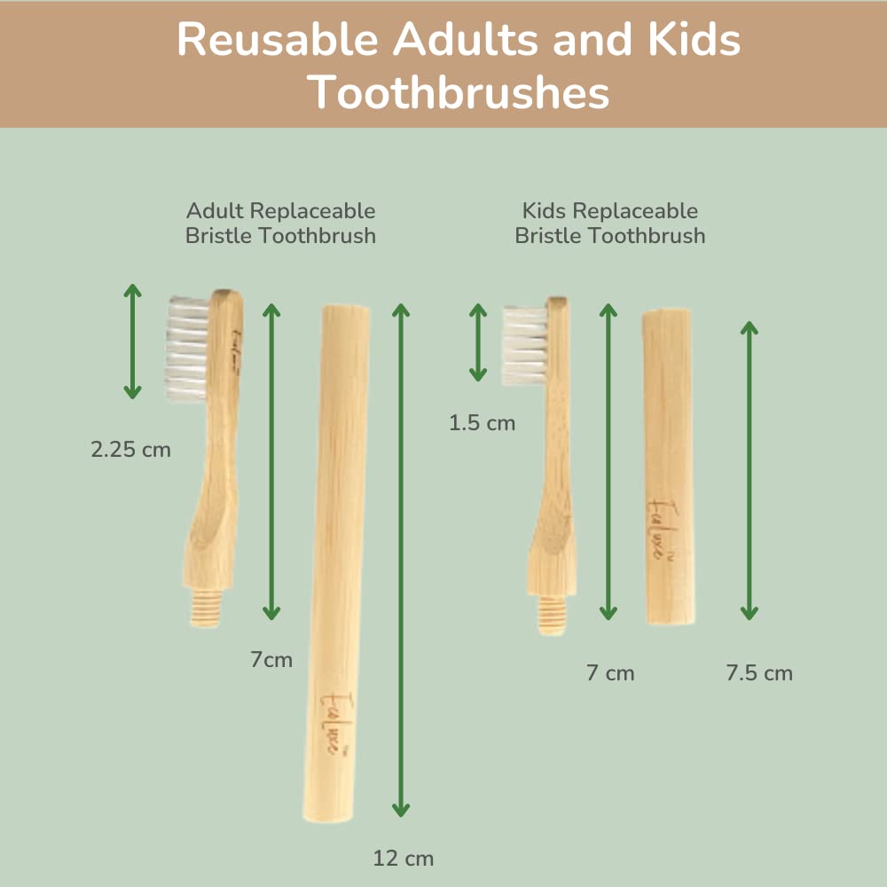 EcoLuxe Manual Bamboo Toothbrush with Replaceable Castor Bean Oil Medium Firm Bristles for Adults, 2 Packs