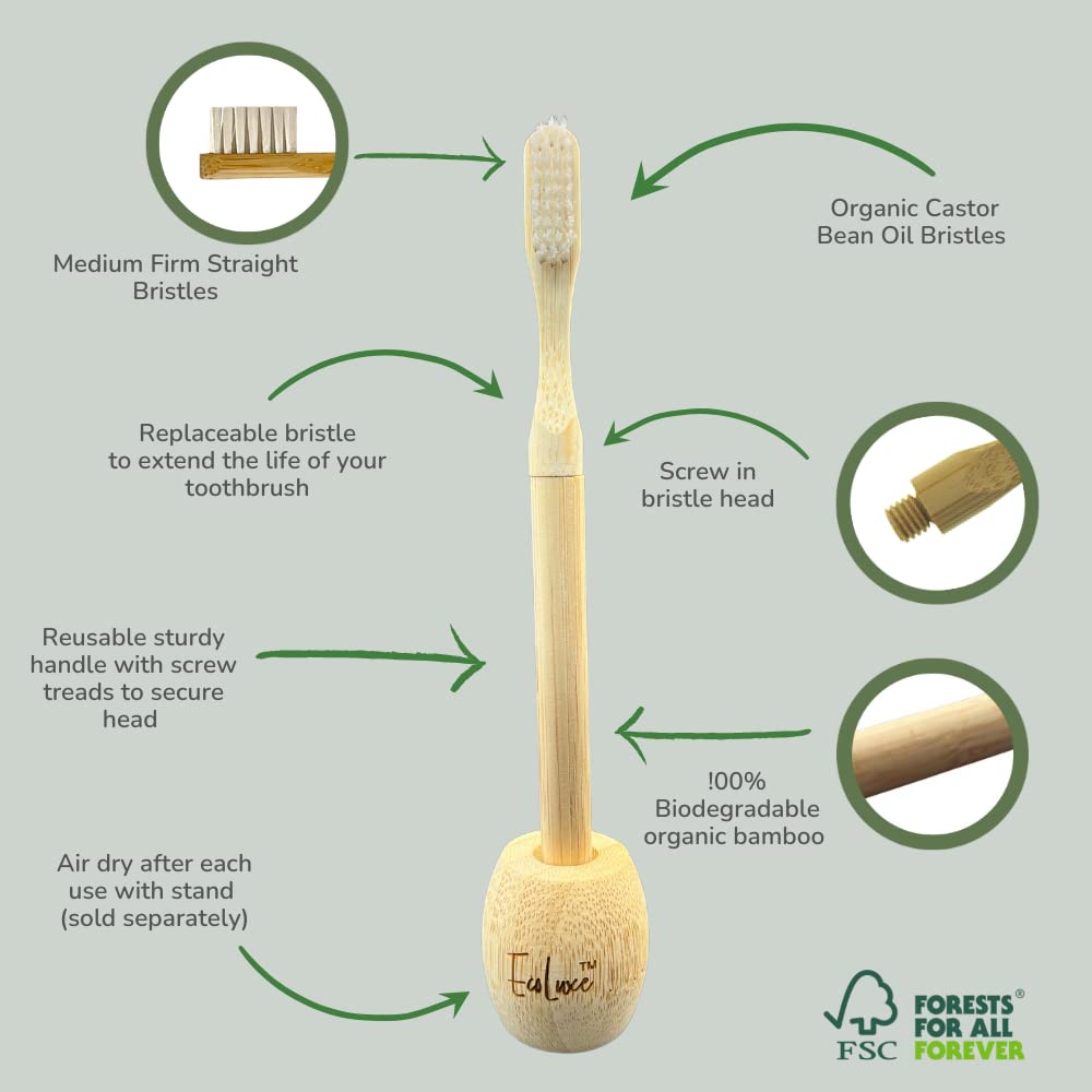 EcoLuxe Manual Bamboo Toothbrush with Replaceable Castor Bean Oil Medium Firm Bristles for Adults, 2 Packs