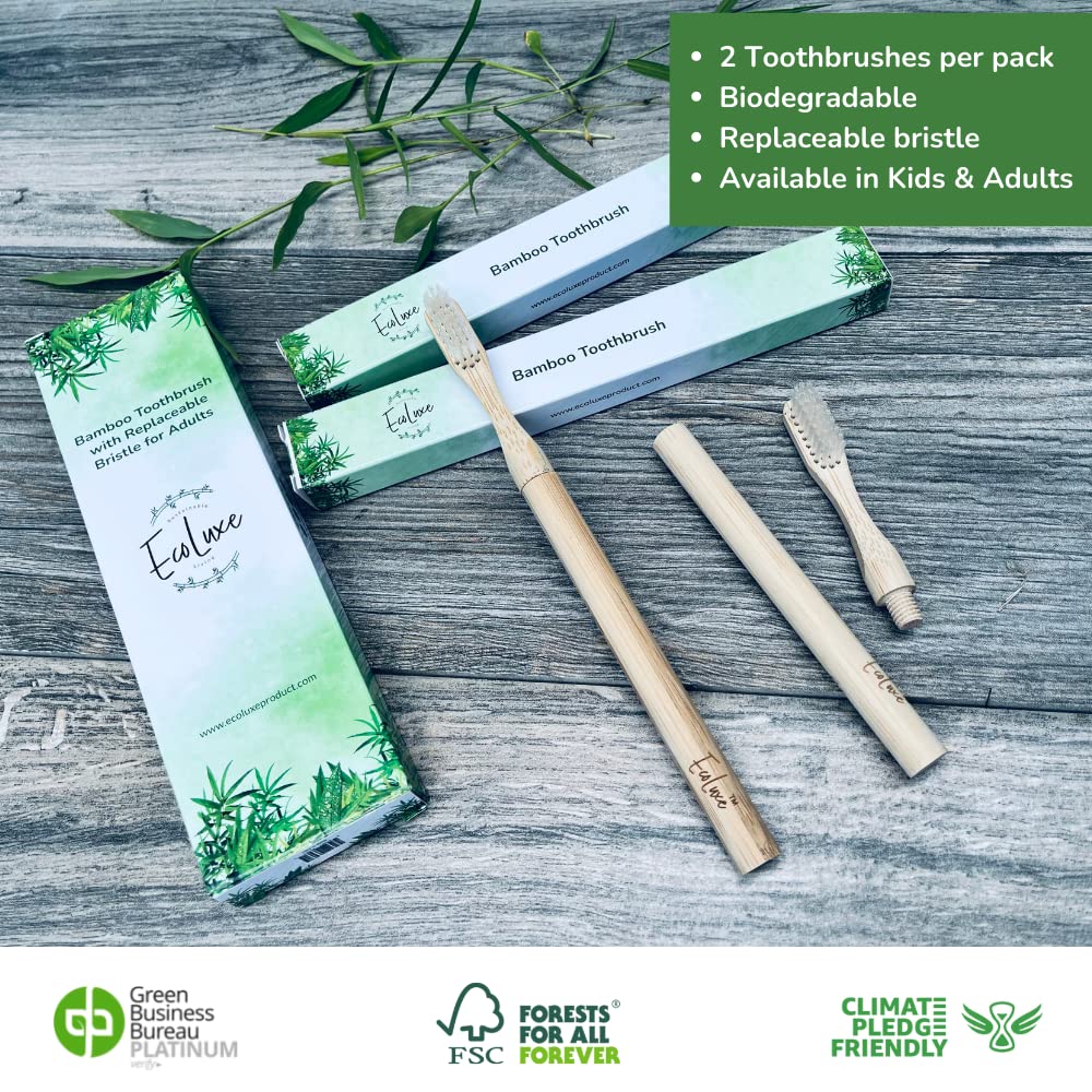 EcoLuxe Manual Bamboo Toothbrush with Replaceable Castor Bean Oil Medium Firm Bristles for Adults, 2 Packs