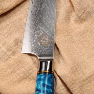 Fukep Chef Knife Set, Kitchen Knife Set of 3, Damascus VG10 Steel, Blue Handle Series