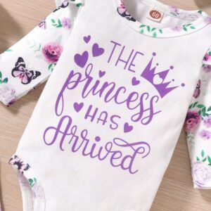 Aalizzwell Newborn Girls Outfit, Infant Princess Arrived Clothes Long Sleeve Floral Fall Winter Clothing NB Purple Coming Home