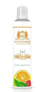 righteous roots 2 in 1 conditioner