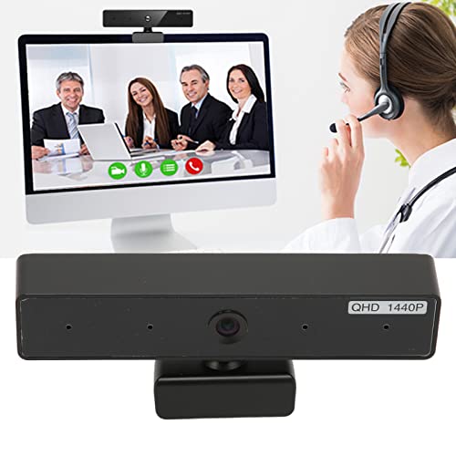 Webcam, Auto Electronic Gain Electronic Shutter High Sensitivity USB Webcam with Dual Microphone for Desktop Meetings