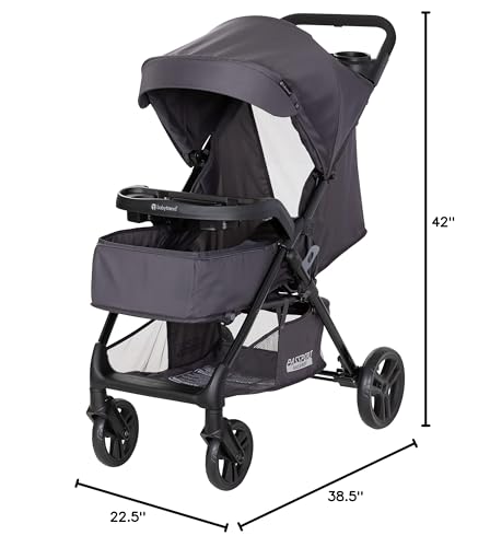 Baby Trend Passport® Carriage Stroller, Silver Sky