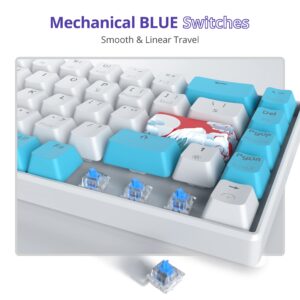 Owpkeenthy Wired 65% Mechanical Gaming Keyboard with Blue Switch 60% Ultra Compact RGB Gaming Keyboard Backlit Keys N-Key Rollover for PC PS5 Xbox(Blue/ 68 Blue Switch)