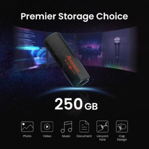 MMOMENT MK700 250GB USB 3.2 Gen2x1 Flash Drive, Read Speed up to 600MB/s, Write Speed up to 500MB/s, Thumb Drive