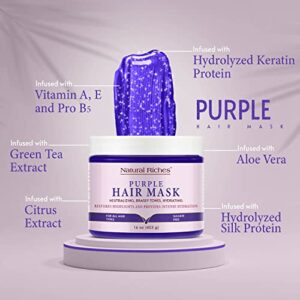 Natural Riches Purple Hair Mask and Blonde Toner for Bleached, Brassy, Platinum, Silver, Gray, or Ash Hair - Removes Yellow Tones - 16 Oz