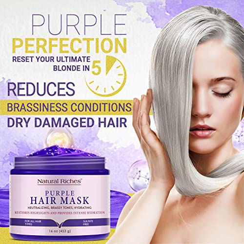 Natural Riches Purple Hair Mask and Blonde Toner for Bleached, Brassy, Platinum, Silver, Gray, or Ash Hair - Removes Yellow Tones - 16 Oz