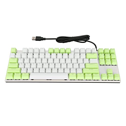 Mechanical Keyboard, 87 Keys Backlight Design Gaming Keyboard, 2 Color Injection Molding Floating Keycaps, Compact Keyboard with Dustproof Blue Switches for Gamers Typists Plug and Play(Green White)