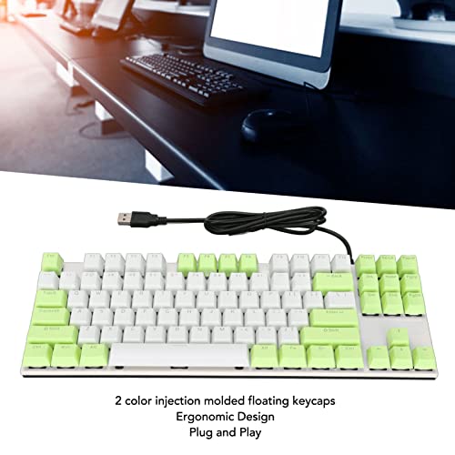 Mechanical Keyboard, 87 Keys Backlight Design Gaming Keyboard, 2 Color Injection Molding Floating Keycaps, Compact Keyboard with Dustproof Blue Switches for Gamers Typists Plug and Play(Green White)