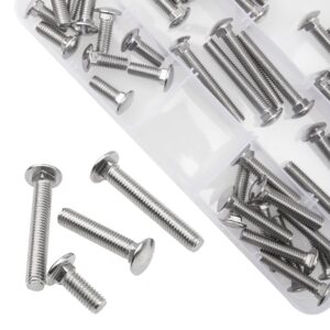 Rrina 38Pcs 304 Stainless Steel Carriage Bolts Round Head Square Neck Screws Coach Bolt Assortment Kit, 5 Sizes M6x16/30/40/50