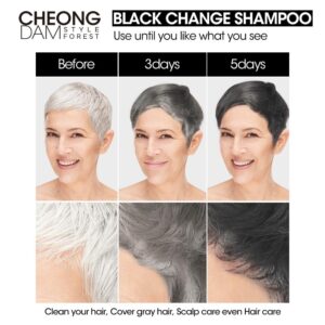 CHEONG DAM STYLE Forest Black Change and Coverage Volume Shampoo, Semi Permanent Hair Color, Korean and Darkening Grey Hair Dye, Peptide, Ceramide, Hyaluronic Acid, Paraben Free, 6.7oz (Dark Brown)