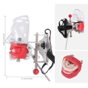 ANNWAH Dental Simulator Manikin Phantom Head - Teaching Mouth Head Model Fix on Chair Replaceable Typodont Tooth Model 360-Degree Adjustment for Dentists & Dental Assistants and Hygienists