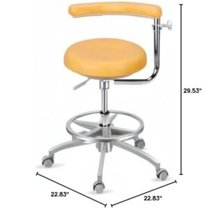 GUNEL Medical Dental Stool Dentist's Chair with Foot Rest and 360 Degree Rotation Armrest, PU Leather Dental Assistant Stool Height Adjustable Doctor's Chair (Color : F)