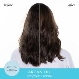 HASK Argan Oil Collection: 2 5-in-1 Leave In Conditioners and 1 Shampoo and Conditioner Set