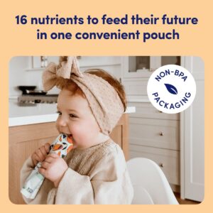 Cerebelly Organic Baby Food Pouches – 6+ Months | Clean Label Project Certified | 16 Nutrients, No Added Sugar, Non-GMO | Toddler Pouches | 4 Ounce BPA-Free Pouches | Veggies & Bone Broth Variety Pack