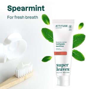 ATTITUDE Fluoride-Free Toothpaste, Plant- and Mineral-Based Ingredients, Vegan, Cruelty-Free and Sugar-Free, Sensitive, Spearmint, 4.2 Oz