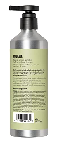 AG Hair Balance Apple Cider Vinegar Sulfate-Free Shampoo, 12 Fl Oz