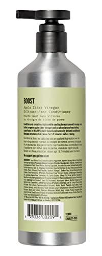 AG Care Boost Apple Cider Vinegar Conditioner 12 Fl Oz