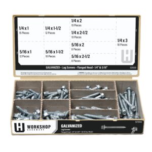 workshop hardware 95 piece fastener assortment kit, galvanized flanged head lag screw assortment set, 1/4 & 5/16 diameters, gray, stainless steel