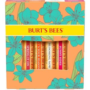 Burt's Bees Stocking Stuffers, Just Picked Lip Balm Set, Pomegranate, Watermelon, Sweet Mandarin, Coconut & Pear, Natural Origin Lip Treatment Christmas Gifts (4-Pack)