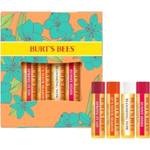 Burt's Bees Stocking Stuffers, Just Picked Lip Balm Set, Pomegranate, Watermelon, Sweet Mandarin, Coconut & Pear, Natural Origin Lip Treatment Christmas Gifts (4-Pack)