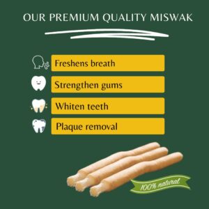 Ameerr Miswak Stick for Teeth | Natural Toothbrush | Natural Teeth Whitening Kit | Organically Grown Miswak | Vacuum Sealed with Holder | Pack of 12