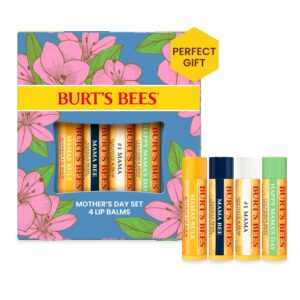 burt's bees stocking stuffers, balm bouquet lip balm set, original beeswax, vanilla bean, cucumber mint, coconut & pear pack, natural origin lip treatment christmas gifts (4-pack)