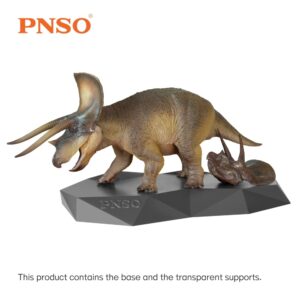 PNSO Scientific Art Model Stand/Holder V2