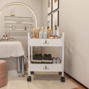 Salon Beauty Cabinet Cart Trolley 2-Layer Rolling Storage Drawer Organizer Wheels Lockable Tool Salon Station Barber Stylist Equipment Makeup Spa Cart (White-2 Layer)