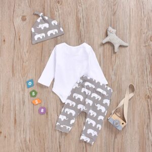 Aruzig Newborn Baby Boys Elephant Clothes Set Long Sleeve Romper Bodysuit Pants Hat 3Pcs Outfit (Long Sleeve Elephant, 0-3 Months)