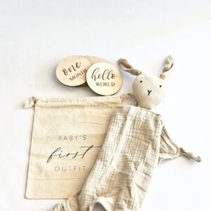 Baby Gift Box - Handcrafted Welcome Baby Gift Set - Choose 5 or 3-Pack Baby Shower Including Milestones, Closet Dividers, & More. +Additional Item: Birth Stat Disc. (Months Set 3-Pack)