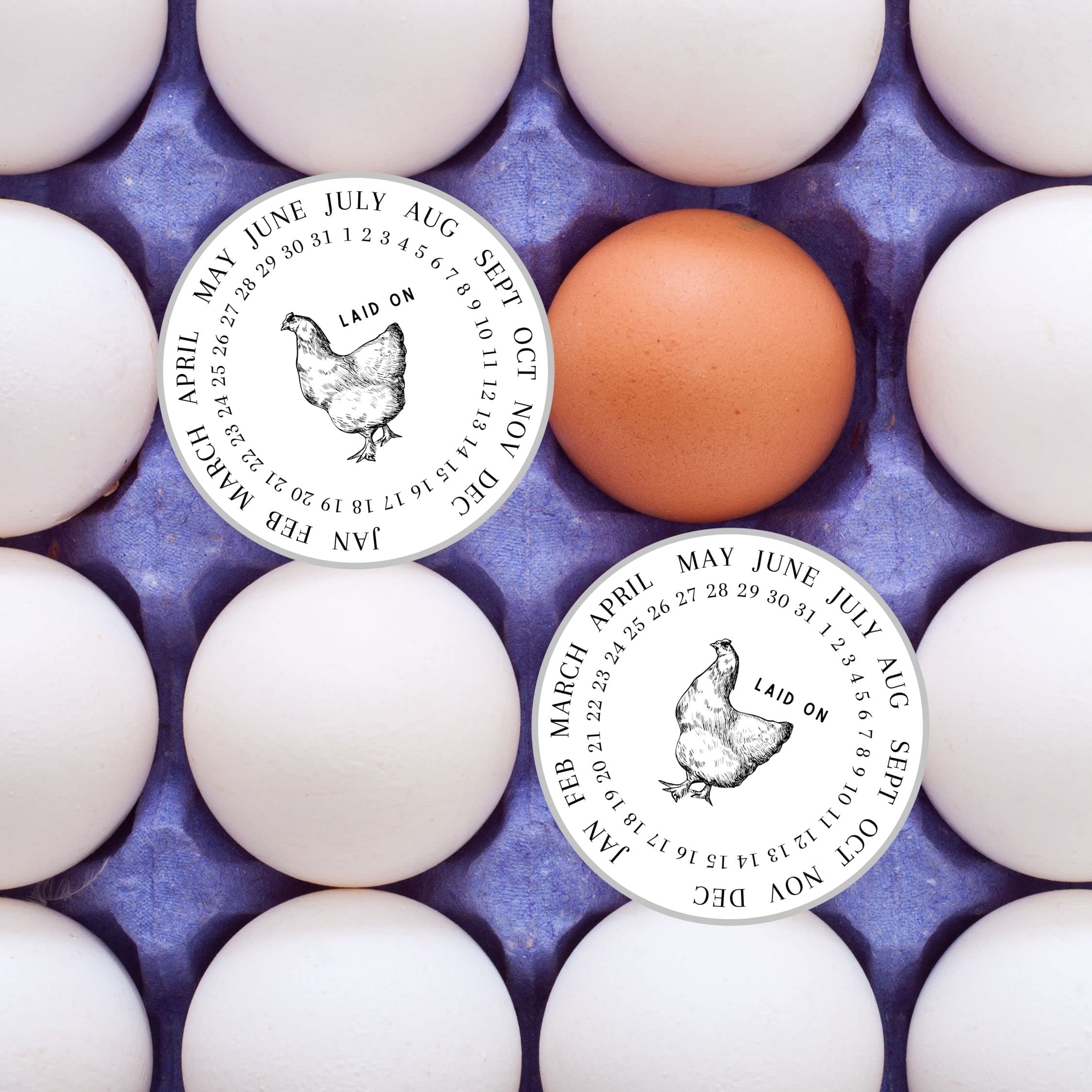 Eggs Laid On Date Stickers | 350 Pc Roll | 2" Round Stickers | Farm Fresh Stickers | Egg Carton Stickers | White with Chicken Design