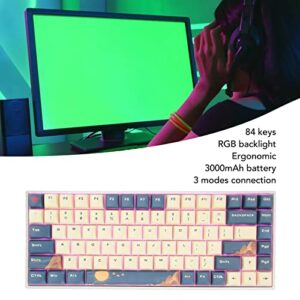 Dilwe Wireless Mechanical Keyboard, 2.4G USB Bluetooth Mechanical RGB Keyboard, 84 Key Compact Gaming Keyboard, Portable Mini Keyboard for Desktop, Laptop(Silver Switch)