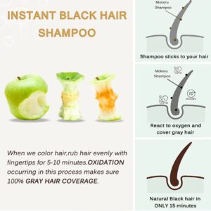 Instant Black Hair Shampoo for Gray Hair - Herbal Black Hair Dye Shampoo 3 in 1 for Women & Men,16.90 Fl Oz Black Hair Dye, Long lasting Black Shampoo, Champu Para Canas & Shampoo Para Canas(Black)