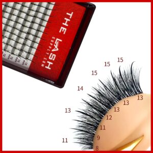 THE LASH SUPPLY Spikes Eyelash Extension Professional Supplies, C/D Curl, 10-18mm Length, 0.07 Thickness, 16 Lines of Matte Black Fake Eye Lashes, Soft and Lightweight Lashes Mixed Pack