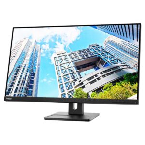 Lenovo ThinkVision E28u-20 28" Class 4K UHD LCD Monitor - 16:9 - Raven Black