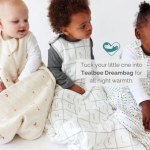 Tealbee Dreambag: Rayon made from Bamboo, Organic Cotton Baby Sleep Sack Universal Fit 6-24 months - 1.2 TOG All Season Baby Wearable Blanket - 2-way zipper - Brushed Dots